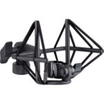 sE Electronics Voodoo VR1 Passive Ribbon Microphone (Black) - Image 4