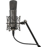 Warm Audio WA-87 R2 Large-Diaphragm Multipattern FET Condenser Microphone (Stereo Pair, Limited-Edition Titanium) - Image 3