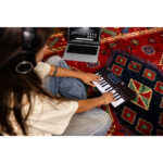 Akai Professional MPK Mini IV 25-Key MIDI Controller (Black) - Image 5